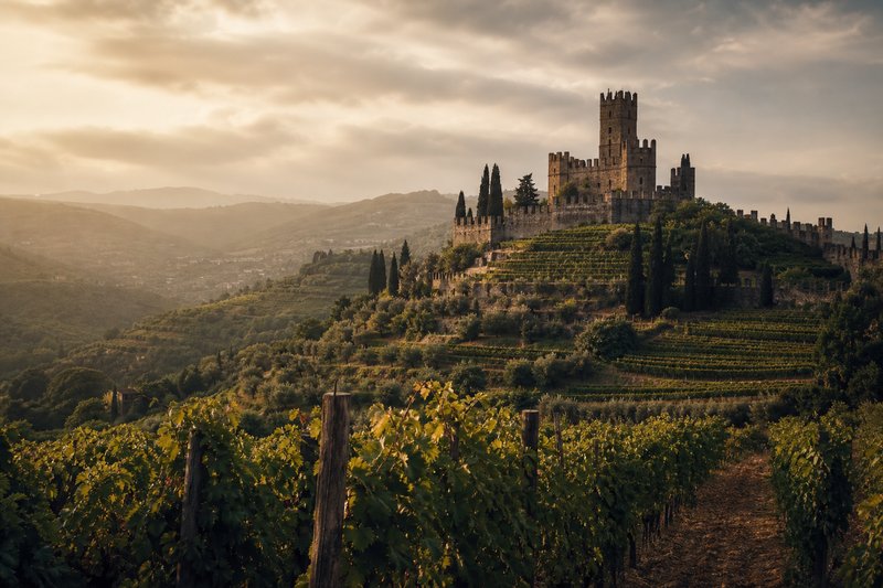 Colline del Soave nel Veronese coperte di vigneti con un borgo fortificato