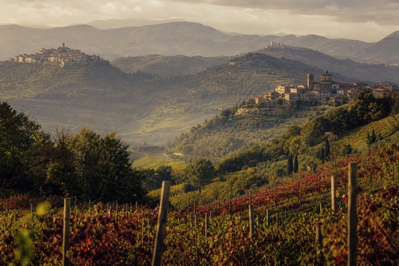 Colline coltivate a vigneto nel Sannio beneventano sotto un cielo terso