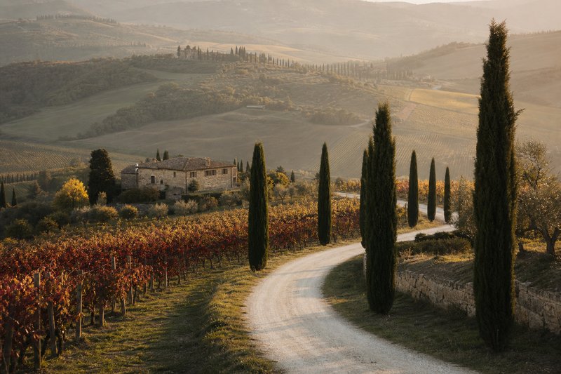 Strada bianca di ghiaia che attraversa colline coltivate a vigneto e cipressi in Toscana